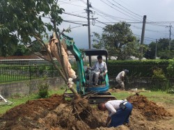 植え替え中