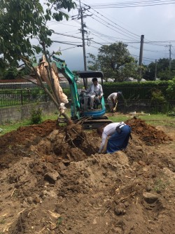植え替えも、バッチリ！