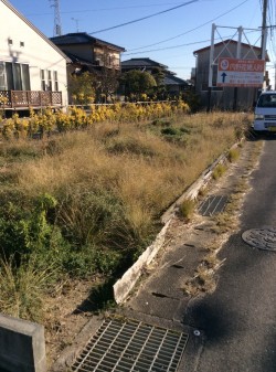 草刈り前！