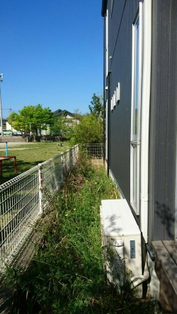 こちらは、草抜き前！！！